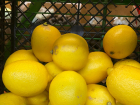 Продуктовая корзина недели: сравниваем цены на лимоны в магазинах Волжского