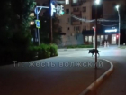 Дикий кабан два дня гуляет по Волжскому