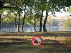 До 30 августа включительно: пожароопасный запрет продлен в Волгоградской области