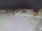 В Волжском разыскивают женщину, забравшую рюкзак школьника: видео