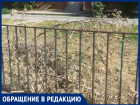 "Спилили и бросили, а это пожароопасно",- волжанка