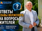 Вопросы сухостоя, парковок и автобусов: что волжане спросили у главы города и что он ответил