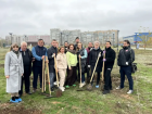 В Волжском высадили 100 молодых тополей Болле в парке  «Новый город»