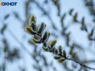 Запрет на ругань действует в пятницу для волжан