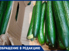 Помидоры с плесенью: волжане жалуются на просрочку