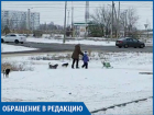 В новой части города свора собак напала на женщину с ребенком, - волжанин