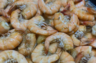 Морепродукты, рыба, креветки с доставкой - 