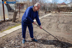 Шпаргалка для волжских дачников: что нужно успеть до октябрьских холодов