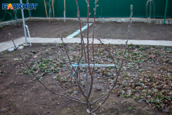 Что сделать на даче после зимы: пошаговая инструкция для волжских дачников