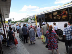 Волжане просят увеличить количество автобусов на 14 маршруте