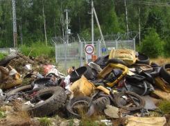 Волжское предприятие ответит в суде за свалку резиновых отходов