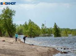 В Волжском начался сезон клещей - есть пострадавшие