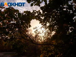 Солнечную среду спрогнозировали в Волжском