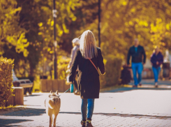 День военного связиста обещает солнечную погоду