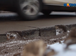 Волжане требуют наказать правоохранителей за превышение должностных полномочий