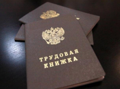 1162 волжан остаются официально безработными