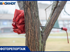 Зима закончилась 5 января? Волжская оттепель в атмосферных кадрах