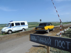На территории Волжского усилен ветеринарный контроль