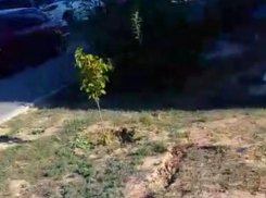 Волжане подали пример соседям, как облагородить двор самим: видео