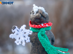 Сильный минус ударит по Волжскому к новогодней ночи