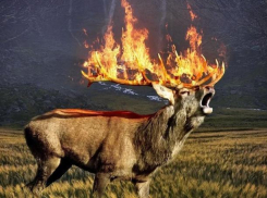 #потушитепожарысибири - Эксперты прогнозируют глобальную катастрофу