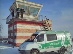 Общероссийская организация «Зеленый патруль» устроит рейд в окрестностях Волжского