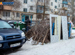 В Облдуме объяснили, почему регоператор не вывозит крупный мусор и ветки в Волжском