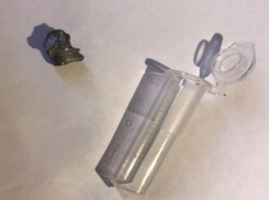 Хозяйка расстрелянной собаки в Волжском показала пулю, которой убили ее питомца