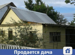 Волжанам предлагают купить дачу с большим садом