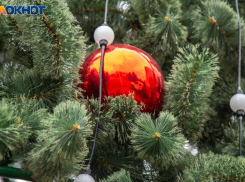 Эволюция новогоднего стола: от селедки под шубой до авокадо-тартаров