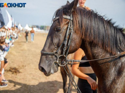 Волжанам по вторникам запретили жаловаться на судьбу 