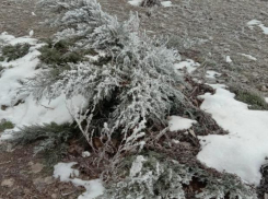 Вторник будет теплым и с сильным ветром 