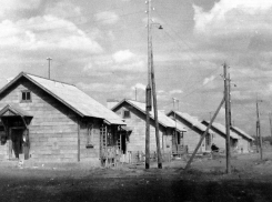 29 января 1952 года началась застройка острова Зеленый в Волжском
