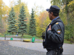 В день полиции в Волжском будет пасмурно