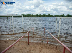 Дождь и сильные порывы ветра ждут волжан в воскресенье: прогноз погоды