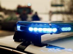 Увидевшая висевшего на дереве пенсионера, жительница Среднеахтубинского района впала в шок