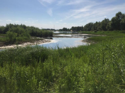 Солнечная, но прохладная пятница ожидает волжан