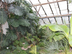 Жара в Волжском идет на спад