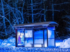 Волжанам предлагают оплачиваемую работу для чистоты города