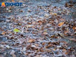 Пятница в Волжском будет пасмурной