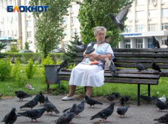 СМИ спасли пенсионерку от грабежа