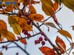 Кондратьев день 4 октября: традиции и запреты