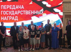 В Волжском родственникам павших героев СВО вручили боевые ордена и медали