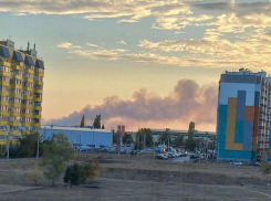 Огонь бушевал почти 11 часов: в Волго-Ахтубинской пойме ликвидирован пожар на площади 50 гектаров
