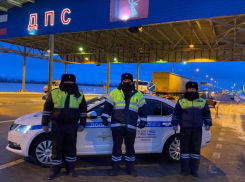 Ми-ми-ми по-волгоградски: полицейские спасли от замерзания шимпанзе