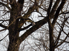 Пока еще холодно будет в первый день весны