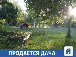 В Волжском продается чудесная дача