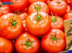 На 24% подорожали свежие помидоры в Волжском: статистика цен на продукты 