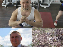 Бомбардировка Сирии, змеи в парке «Волжский» и первый герой «Сбросить лишнее»: 14 апреля в Волжском
