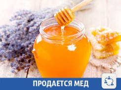 В Волжском продается вкусный мед